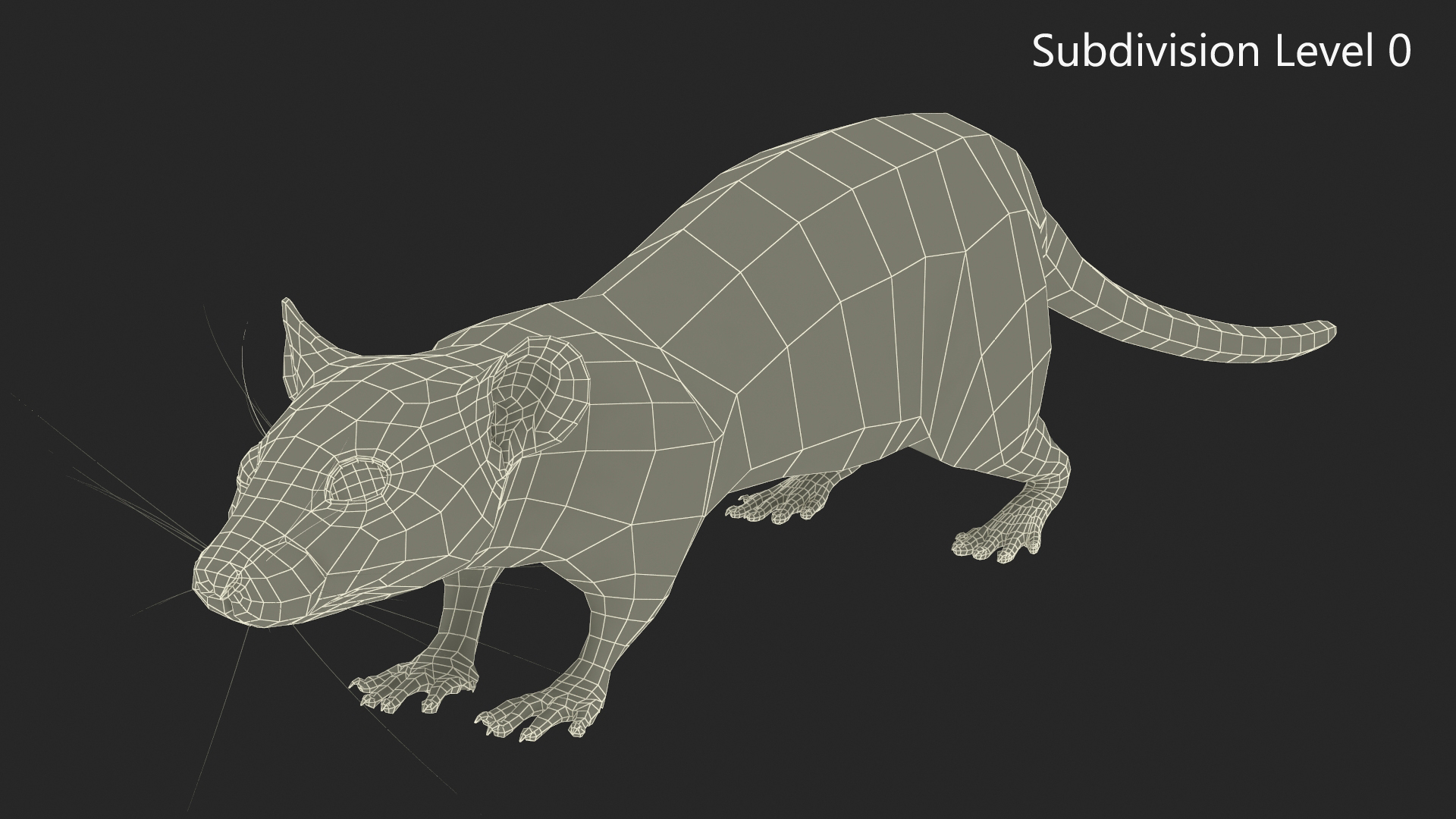 Realistic Rat with Fur 3D