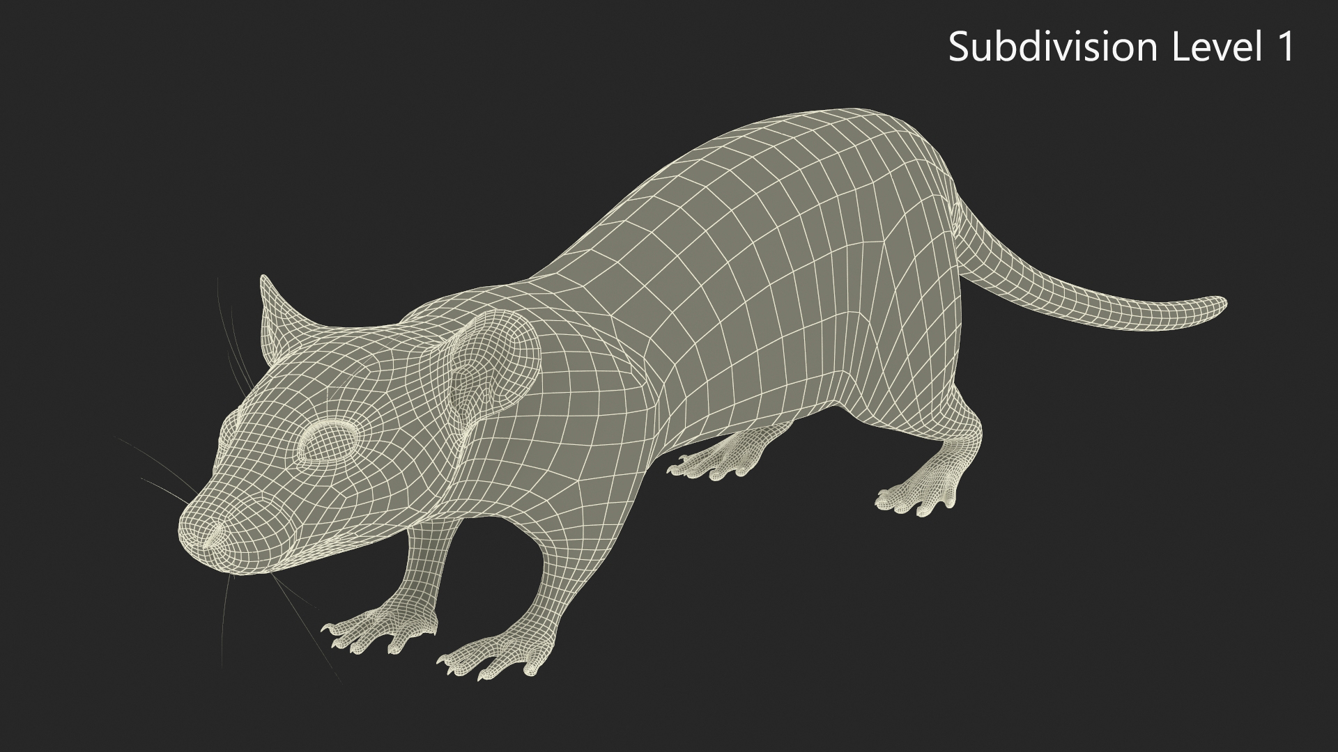 Realistic Rat with Fur 3D