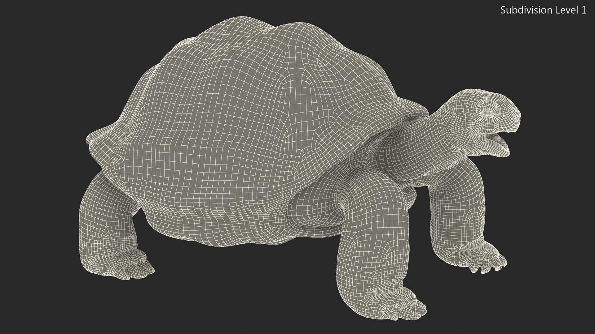 3D Aldabrachelys Gigantea Rigged for Cinema 4D model