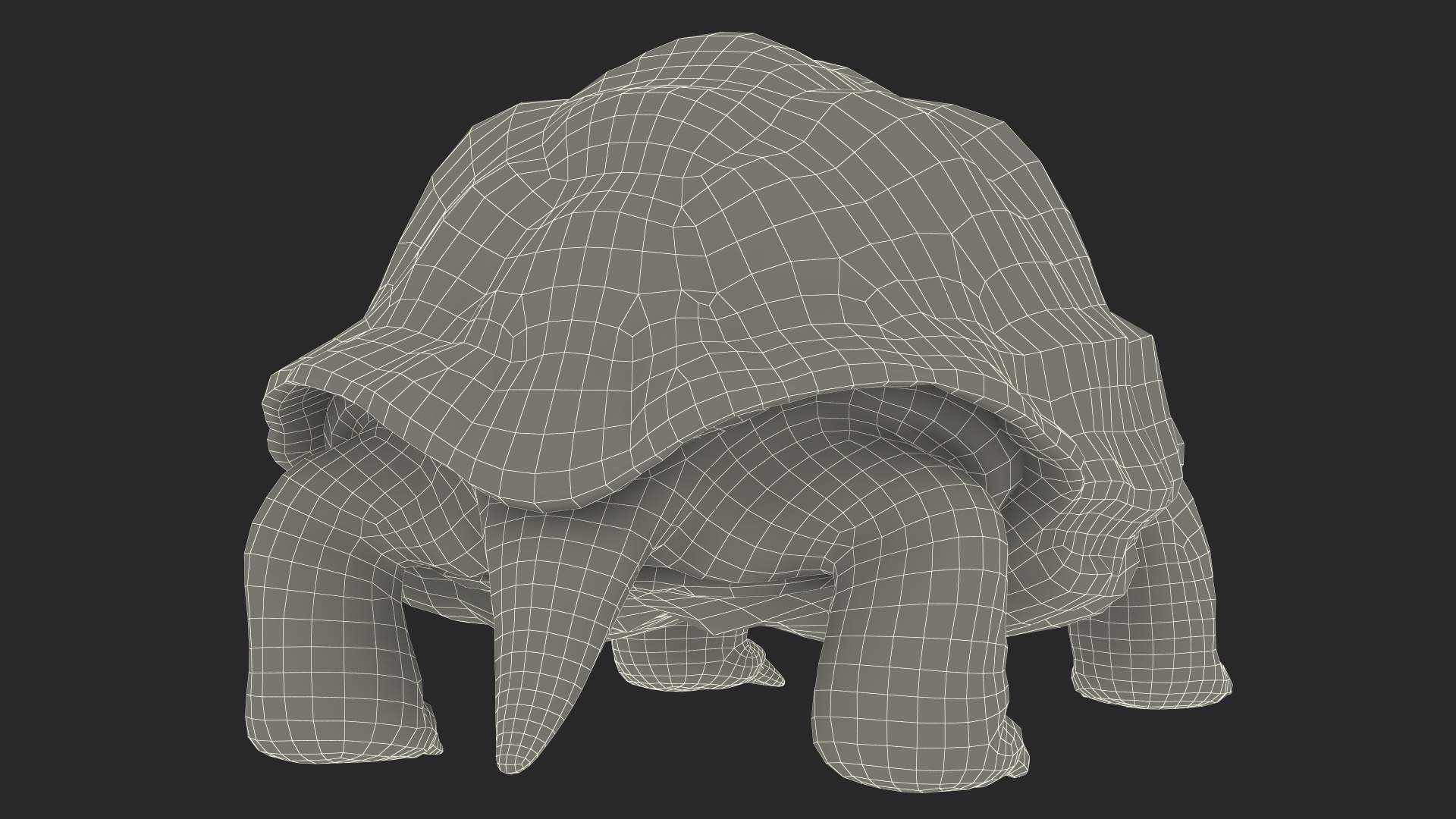 3D Aldabrachelys Gigantea Rigged for Cinema 4D model
