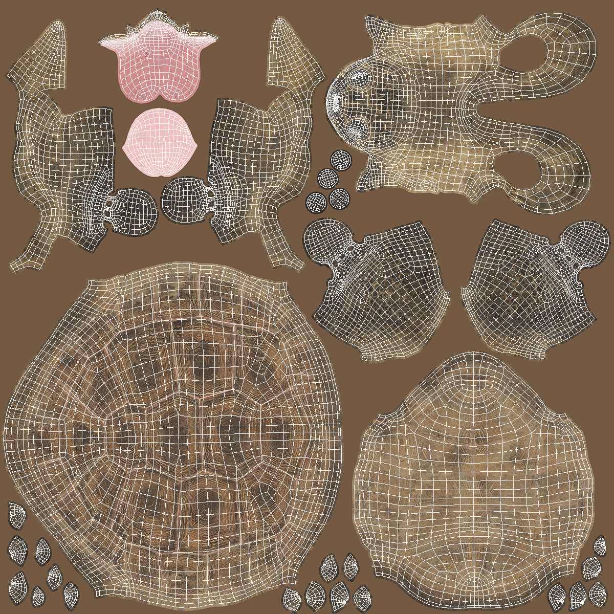 3D Aldabrachelys Gigantea Rigged for Cinema 4D model