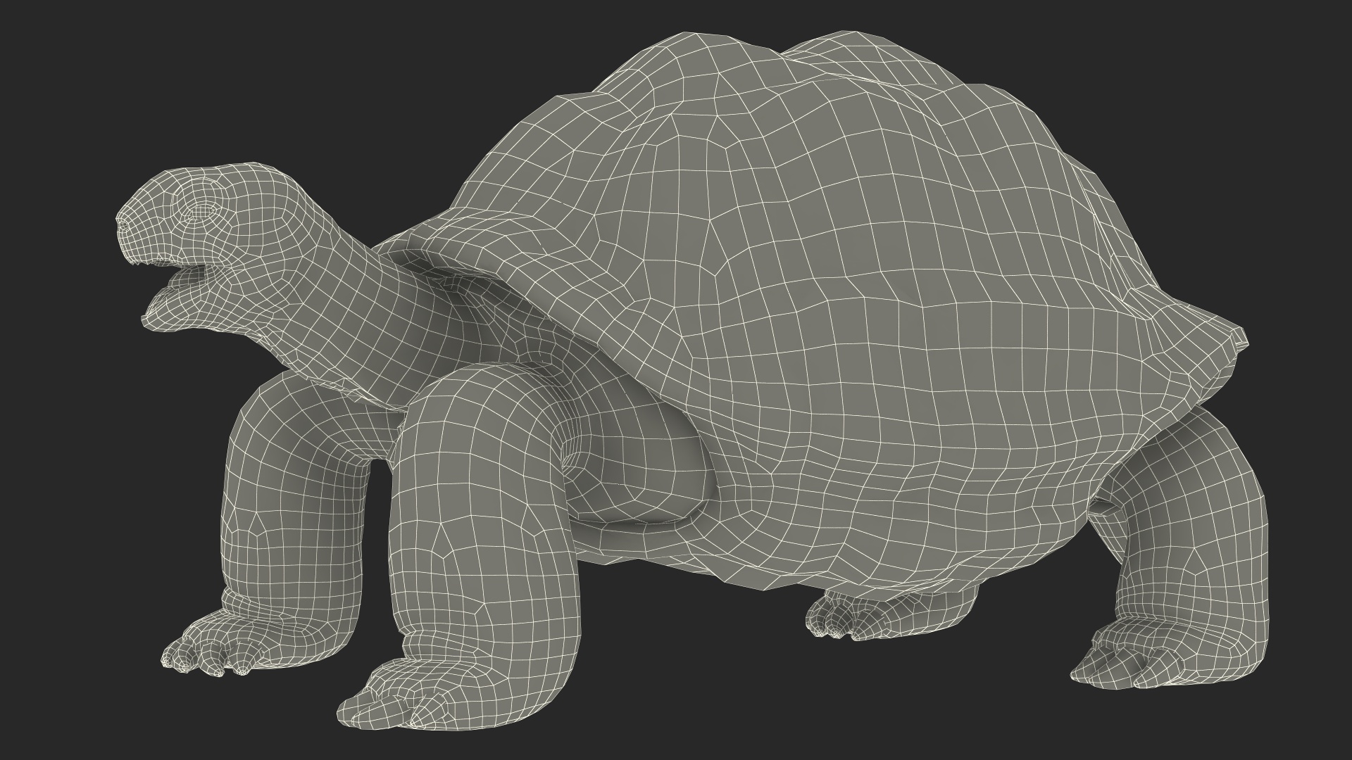 3D Aldabrachelys Gigantea Rigged for Cinema 4D model