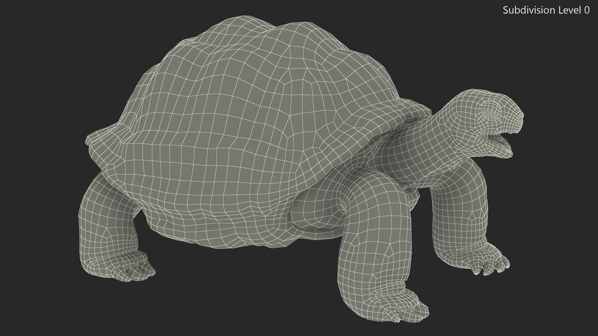 3D Aldabrachelys Gigantea Rigged for Cinema 4D model