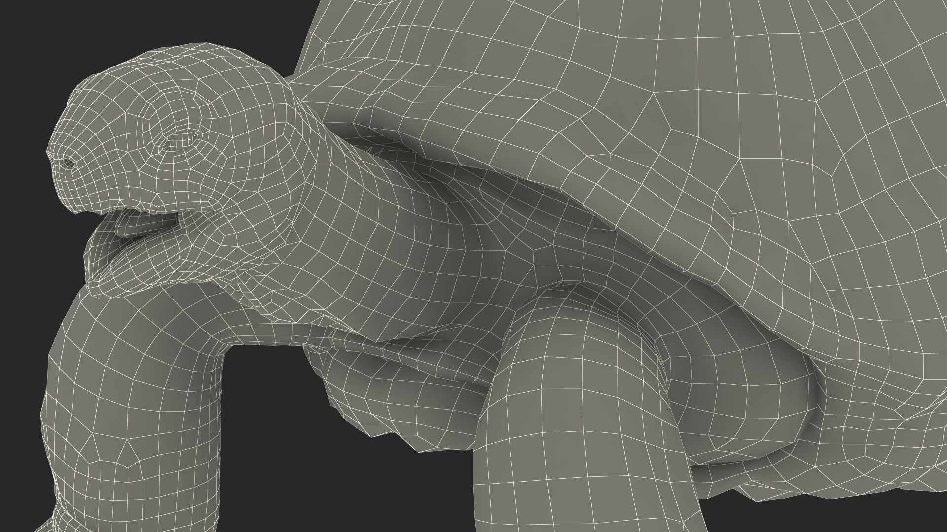 3D Aldabrachelys Gigantea Rigged for Cinema 4D model
