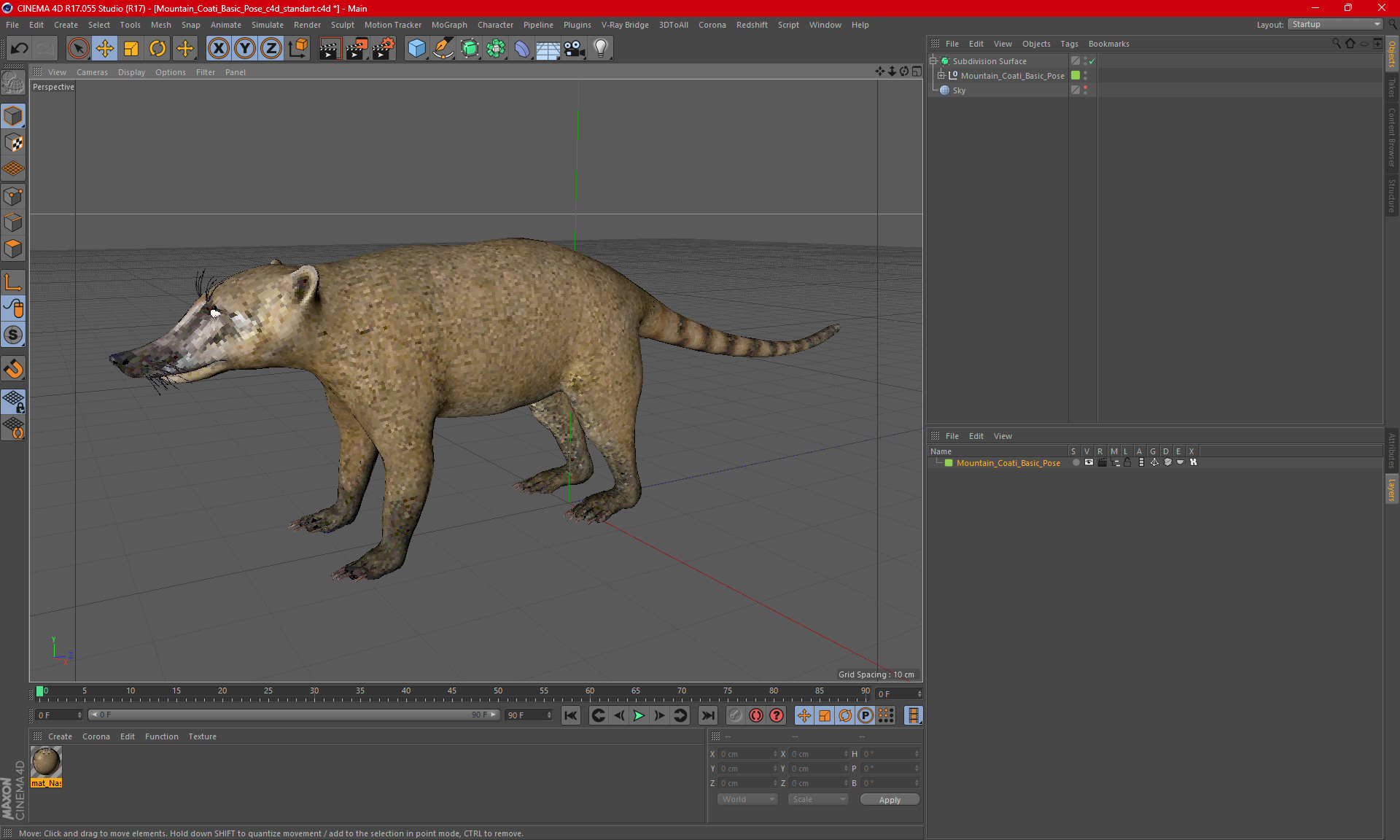 3D model Mountain Coati Basic Pose