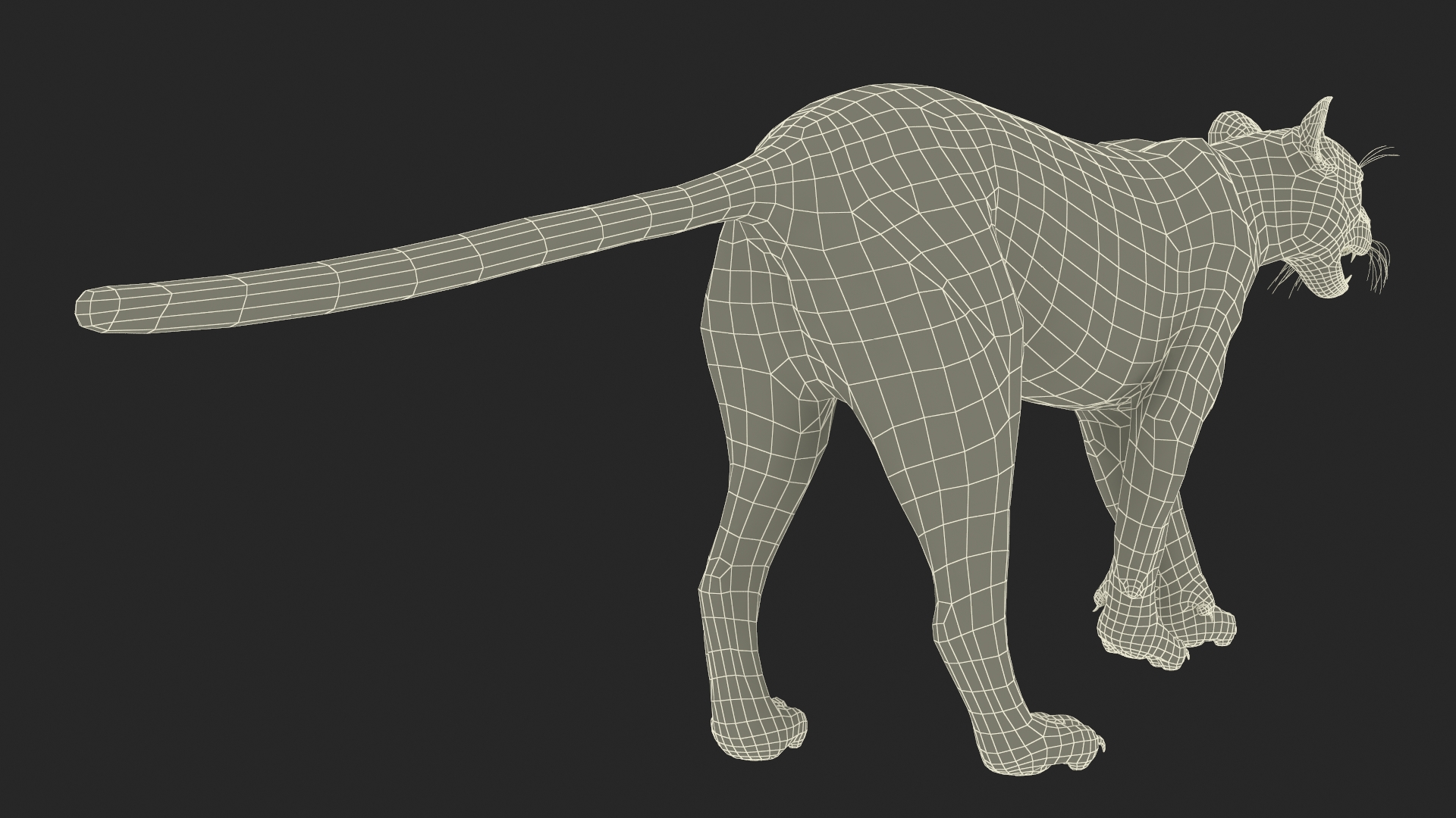 Snarling Puma Fur 3D