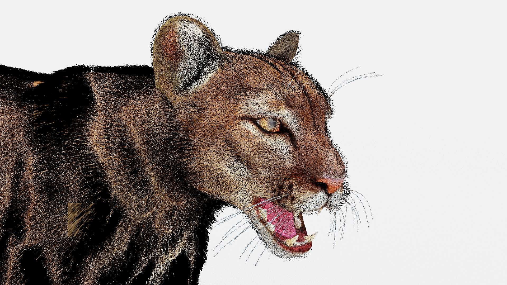 Snarling Puma Fur 3D