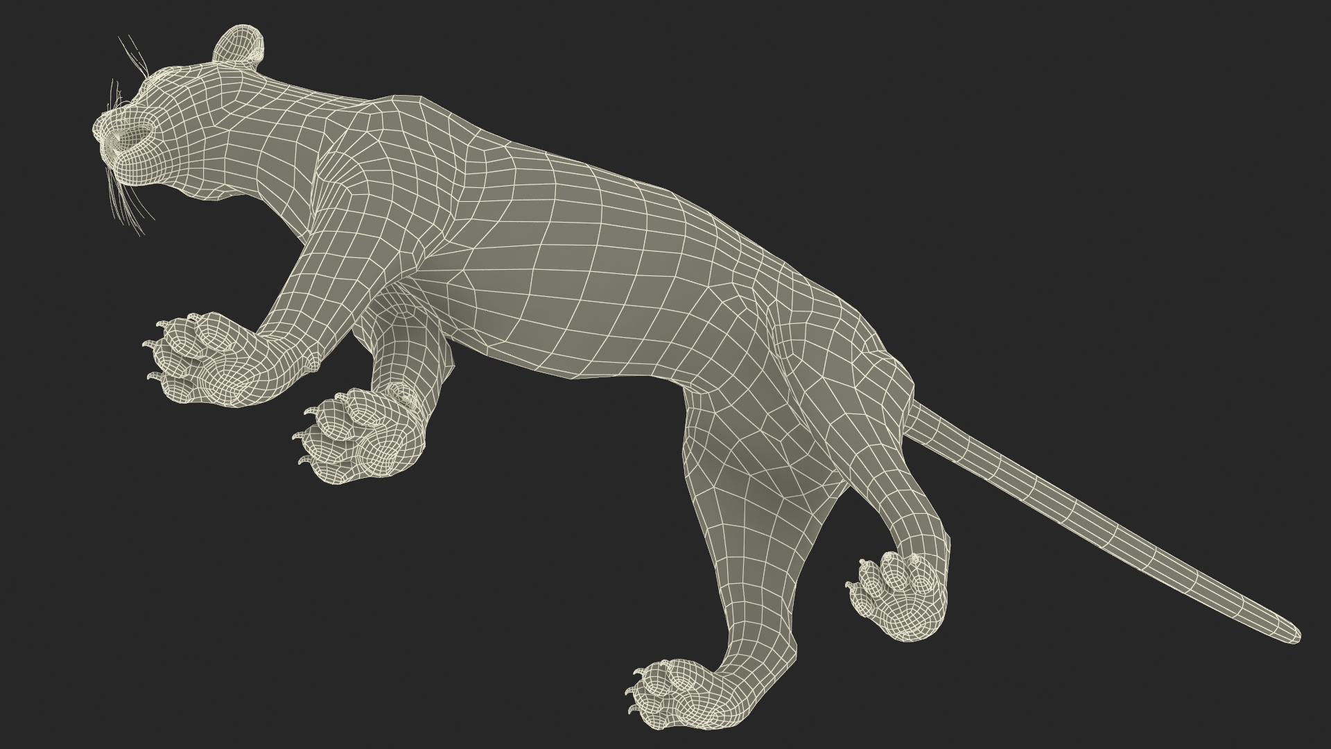 Snarling Puma Fur 3D