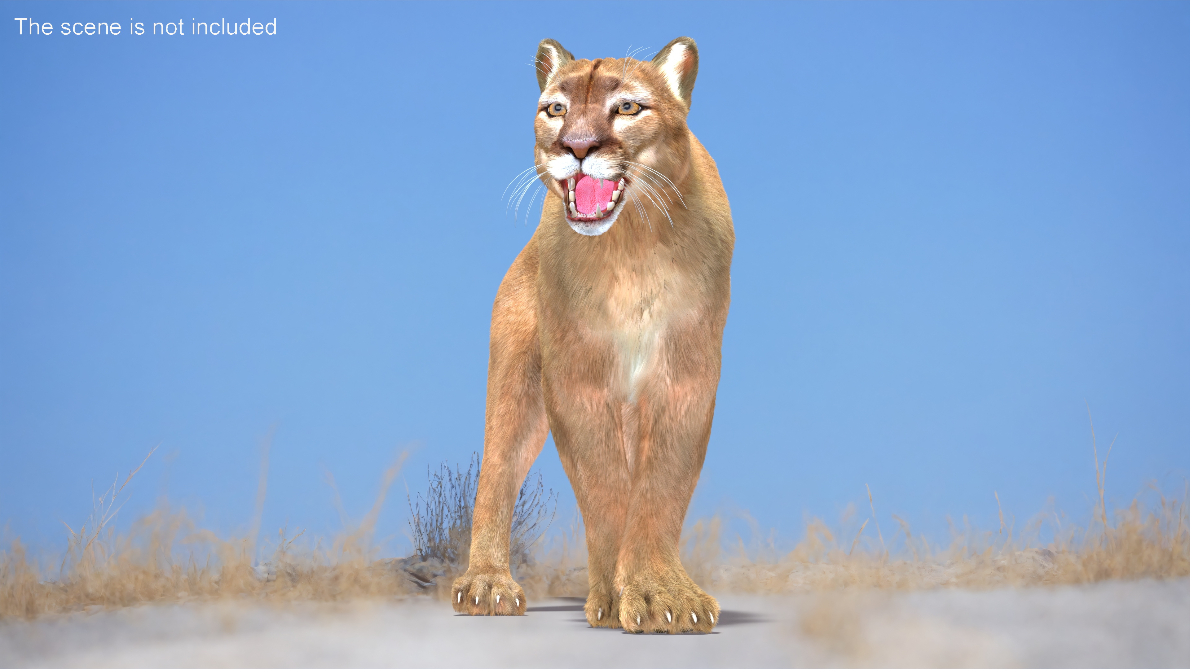 Snarling Puma Fur 3D