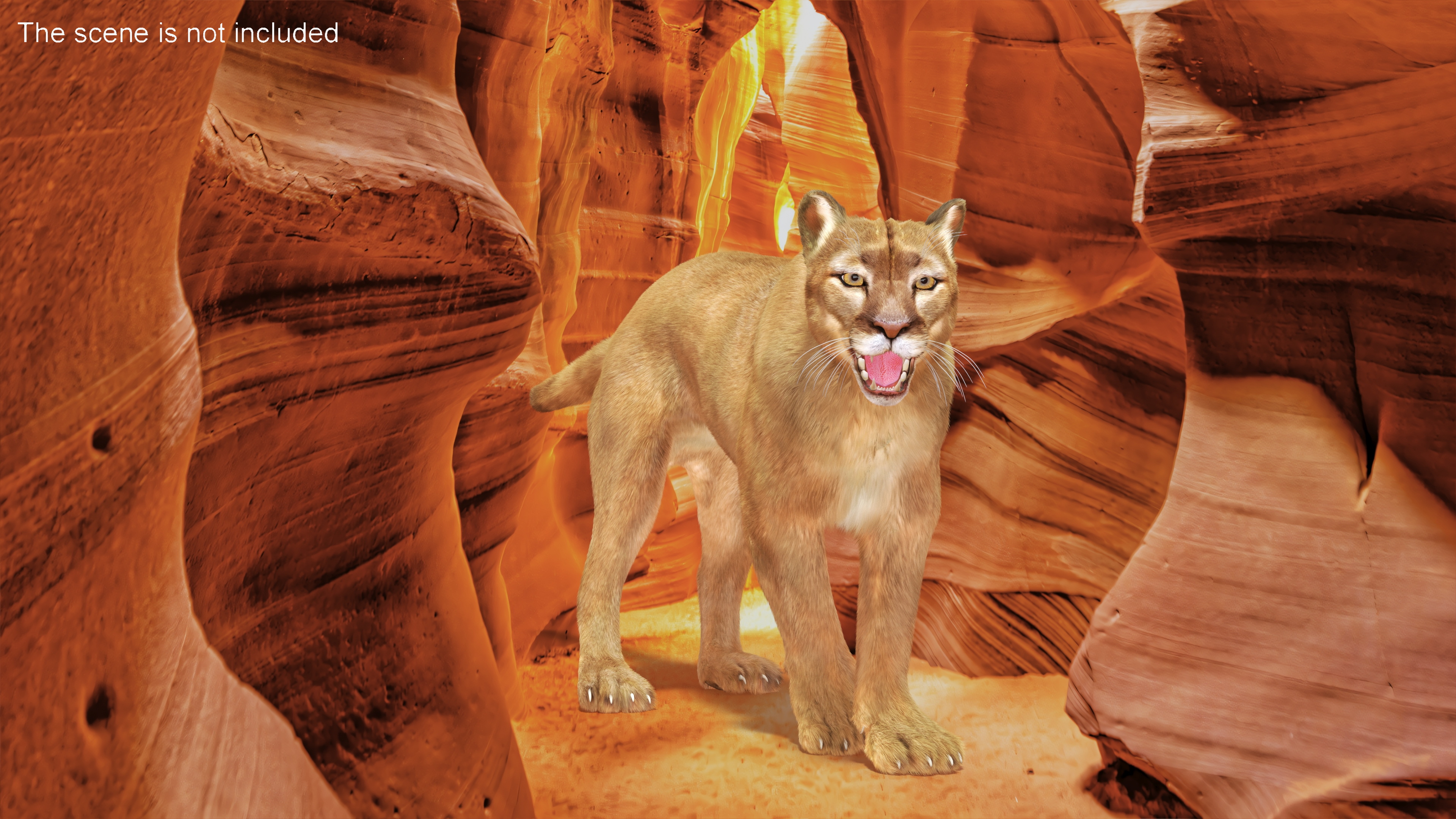 Snarling Puma Fur 3D
