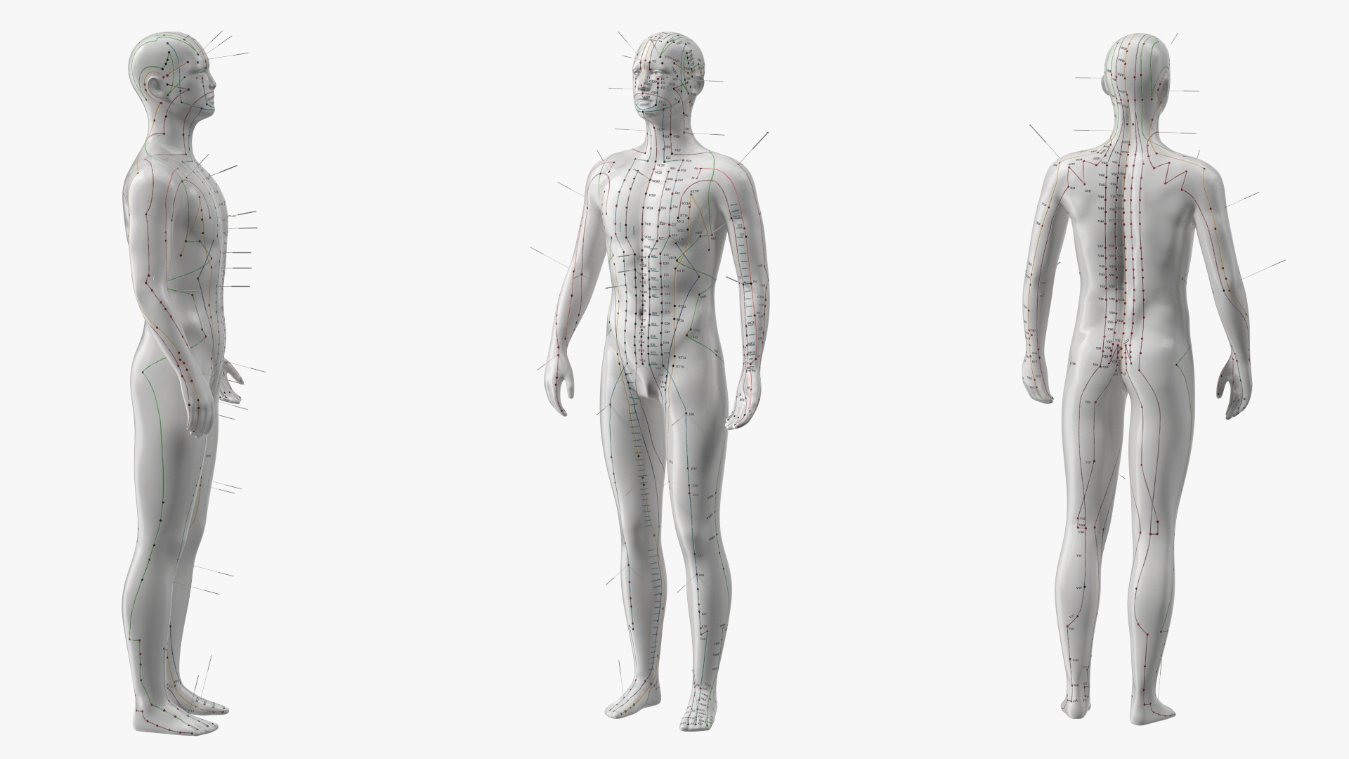 Male Acupuncture Mannequin on the Couch 3D model