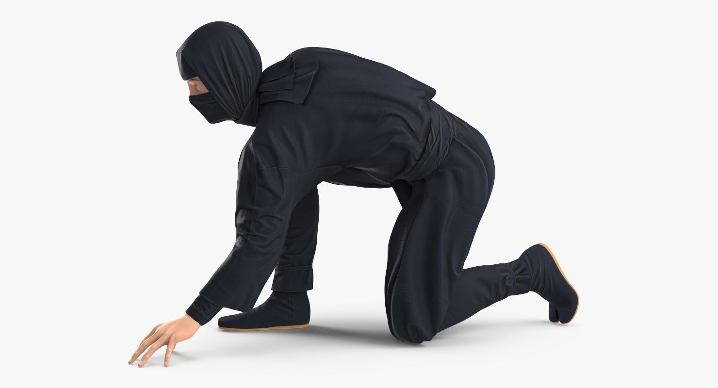 3D Japan Ninja