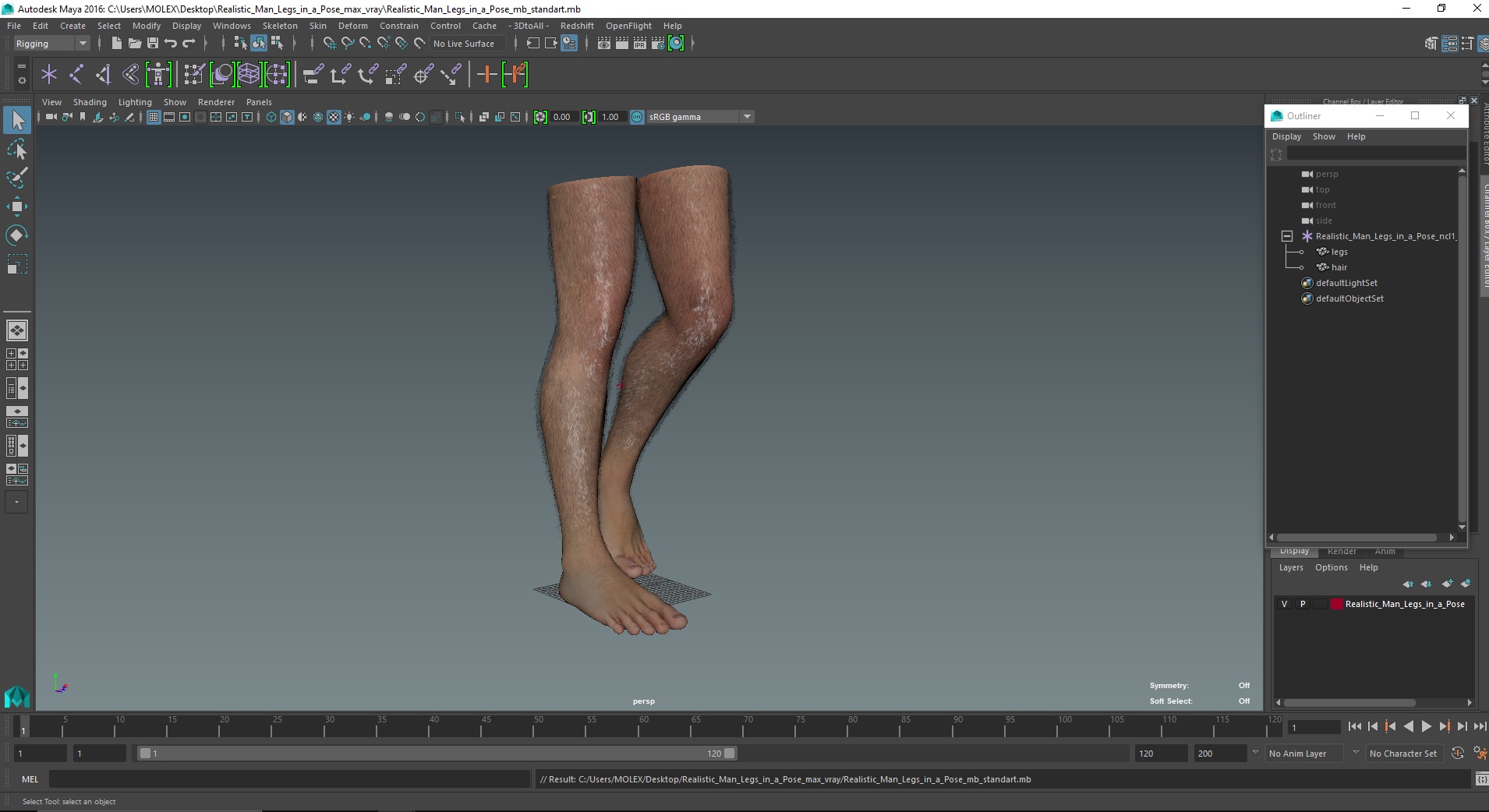 3D Realistic Man Legs in a Pose model
