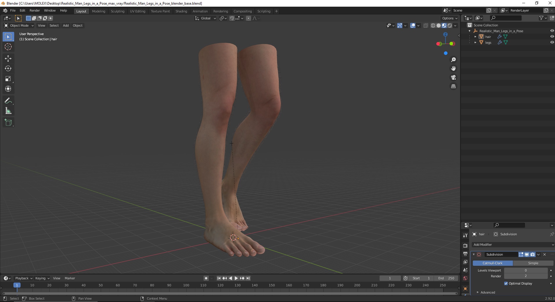 3D Realistic Man Legs in a Pose model