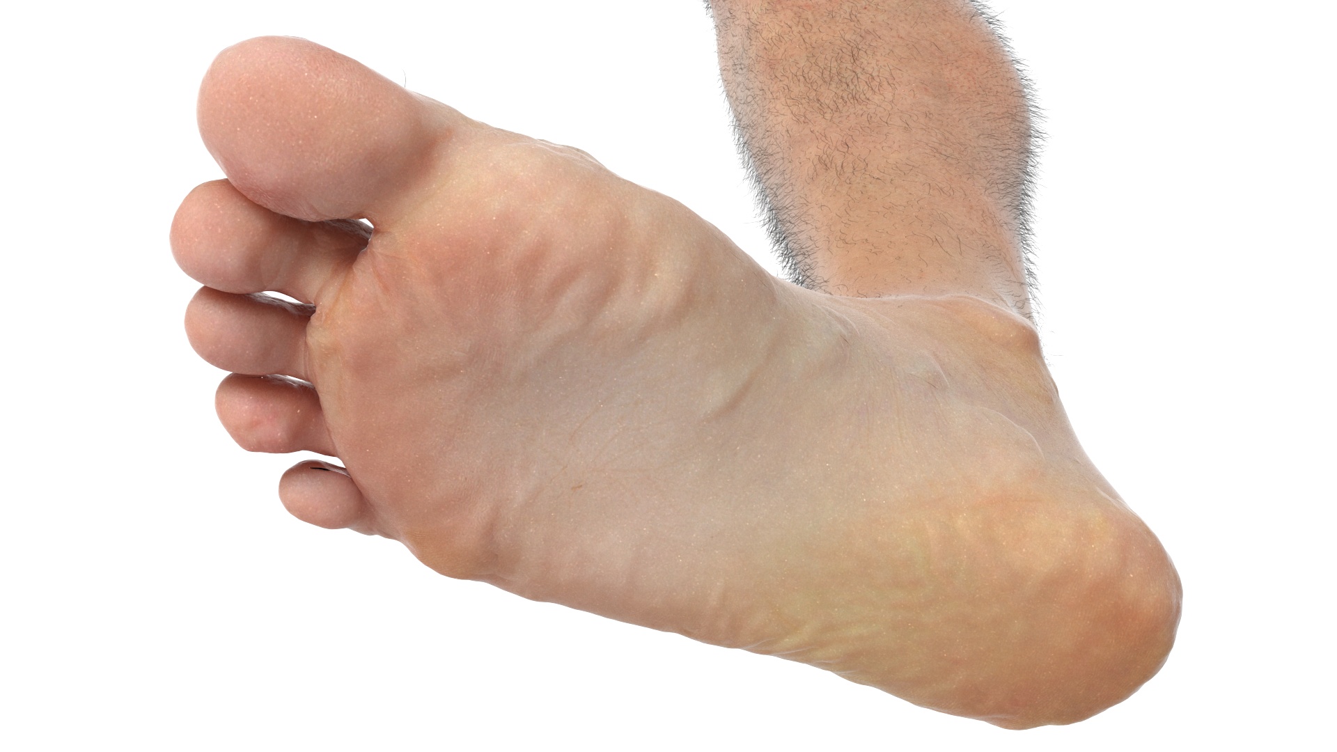 3D Realistic Man Legs in a Pose model