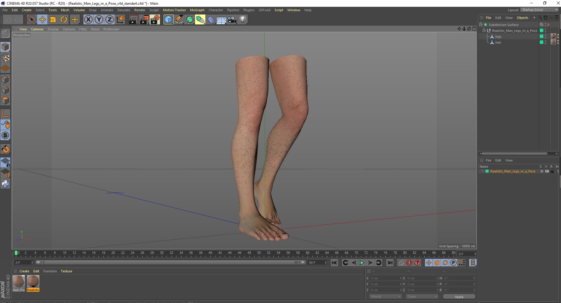 3D Realistic Man Legs in a Pose model