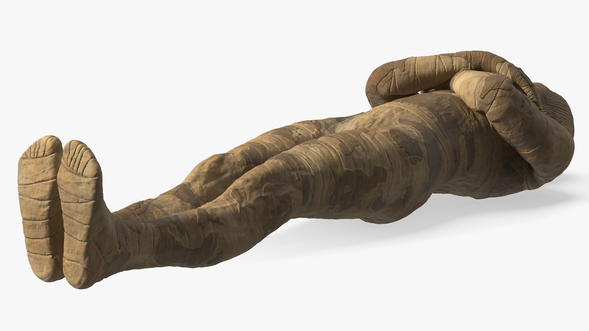 3D Sarcophagus and Mummy with Ankh
