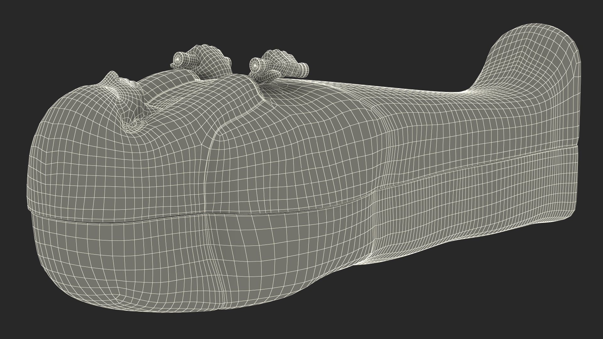 3D Sarcophagus and Mummy with Ankh
