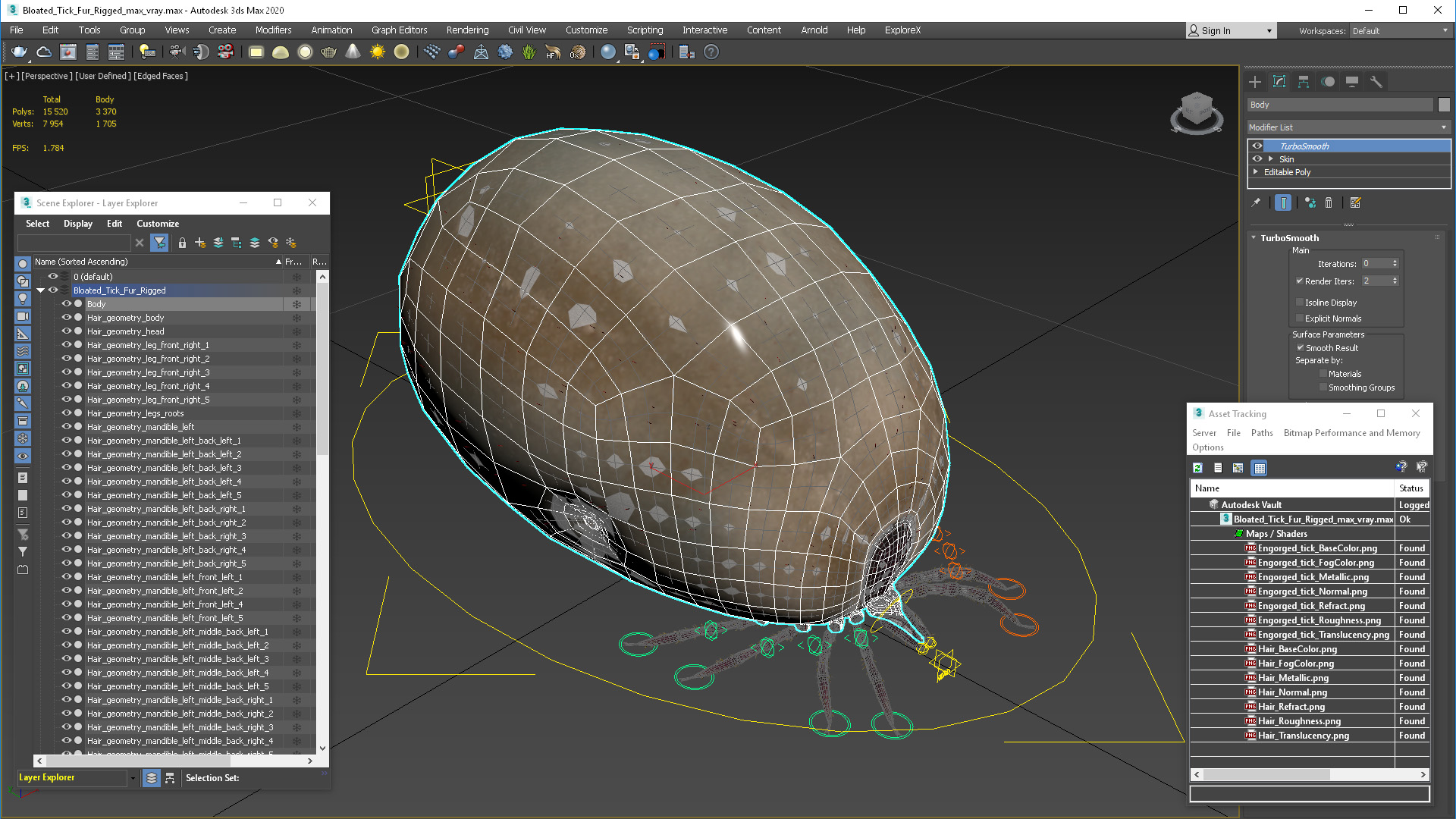 3D Bloated Tick Fur Rigged model