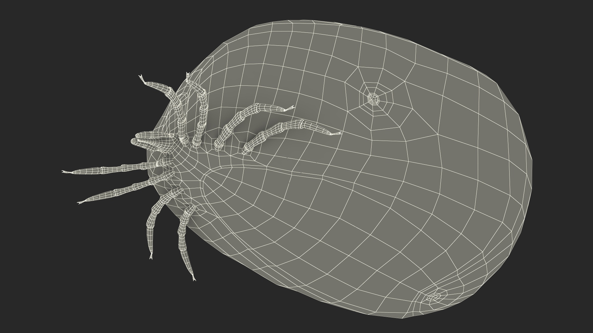 3D Bloated Tick Fur Rigged model