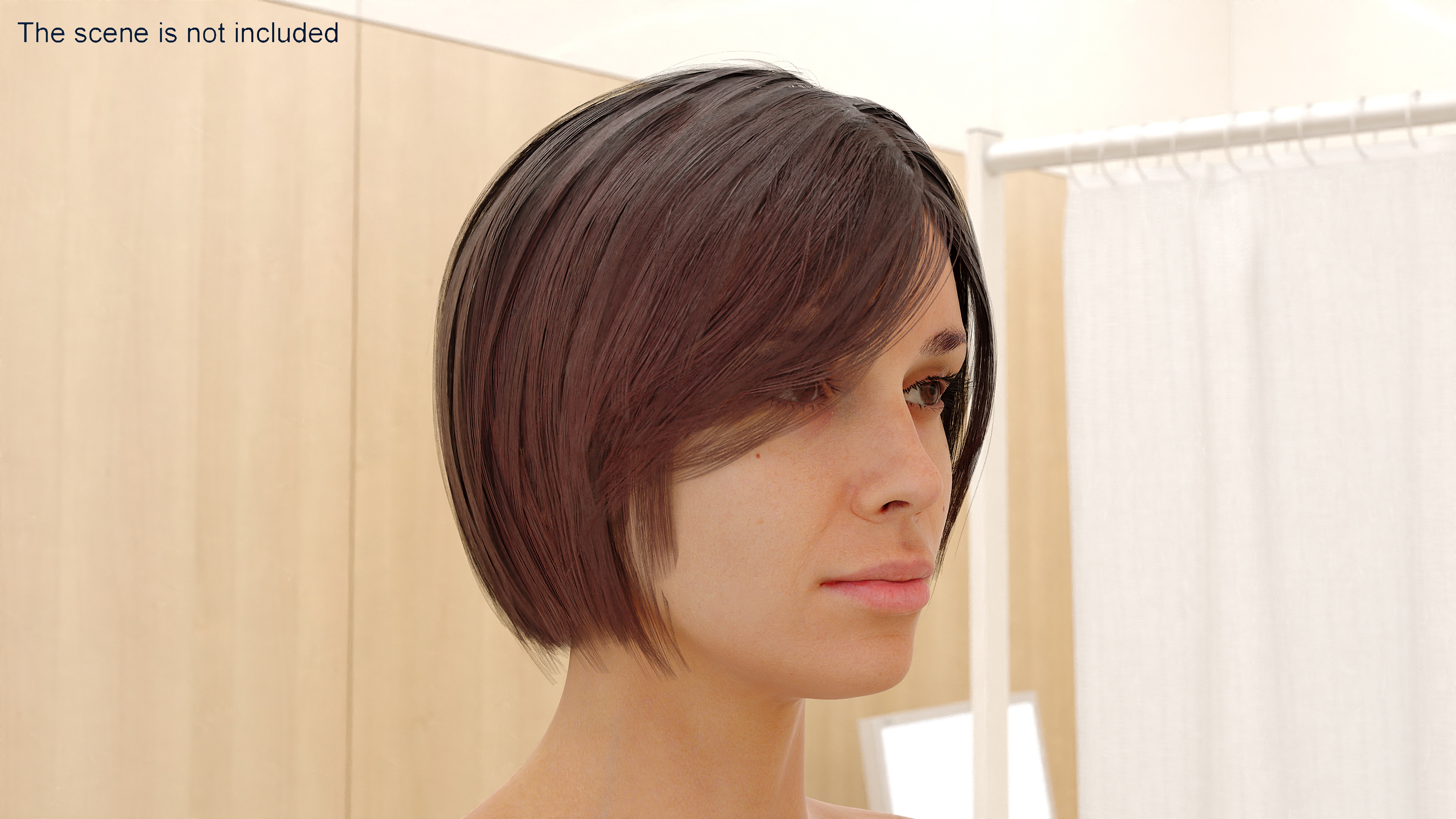 Female Head Realistic Anatomy 3D model