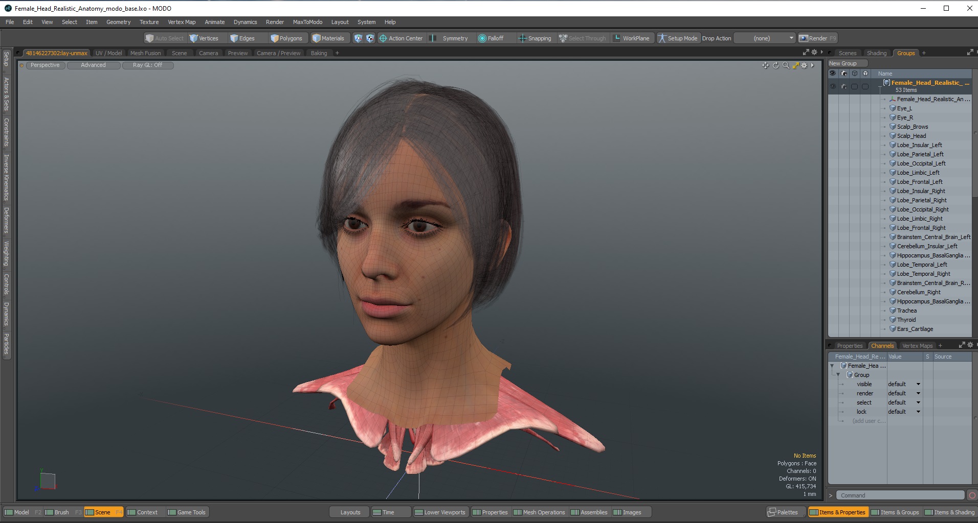 Female Head Realistic Anatomy 3D model