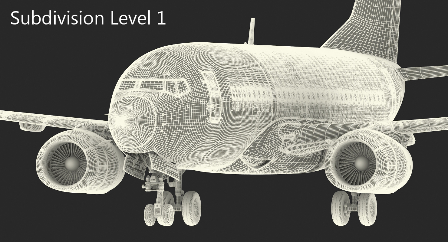 Boeing 737 600 Ryanair 3D