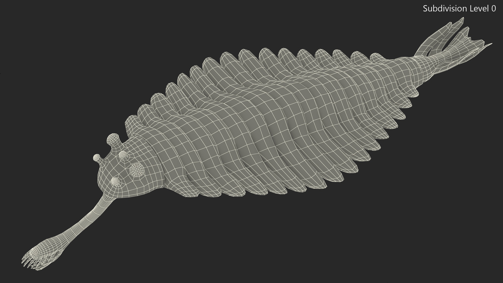 3D model Pink Opabinia Rigged