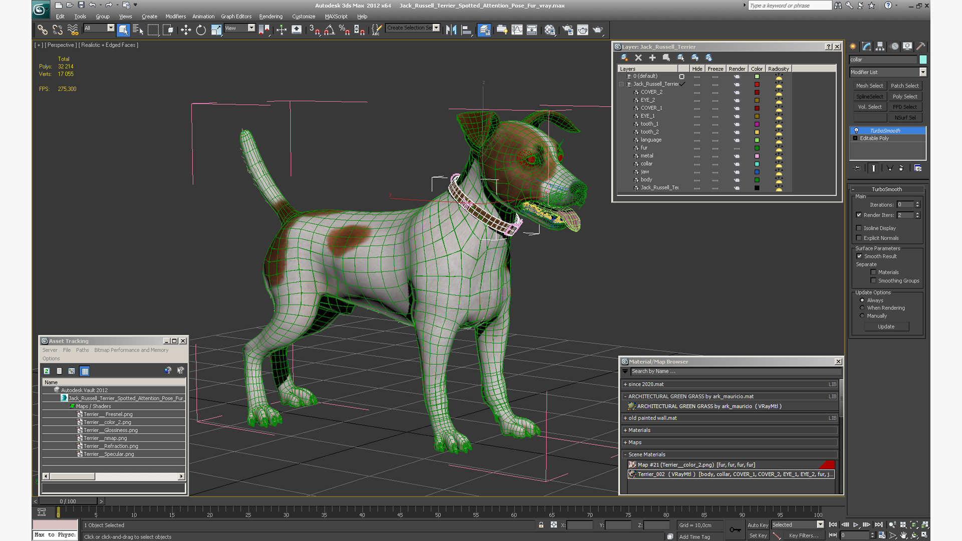 Jack Russell Terrier Spotted Attention Pose Fur 3D