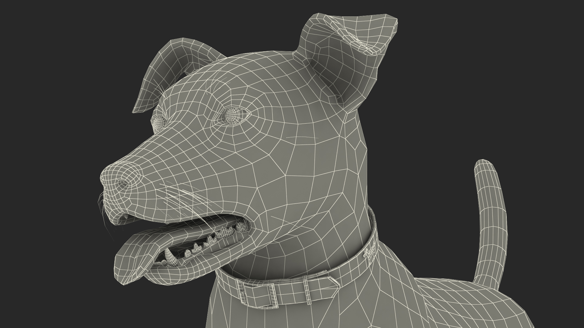 Jack Russell Terrier Spotted Attention Pose Fur 3D