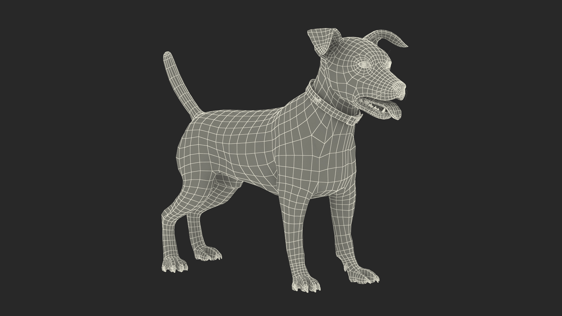 Jack Russell Terrier Spotted Attention Pose Fur 3D