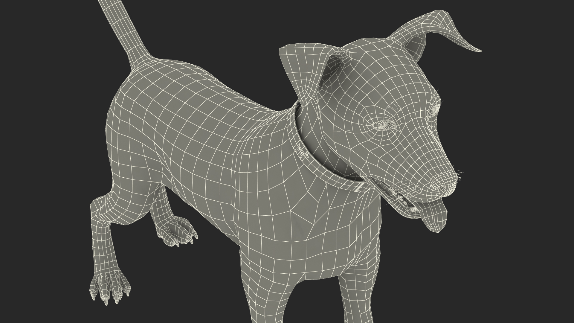 Jack Russell Terrier Spotted Attention Pose Fur 3D