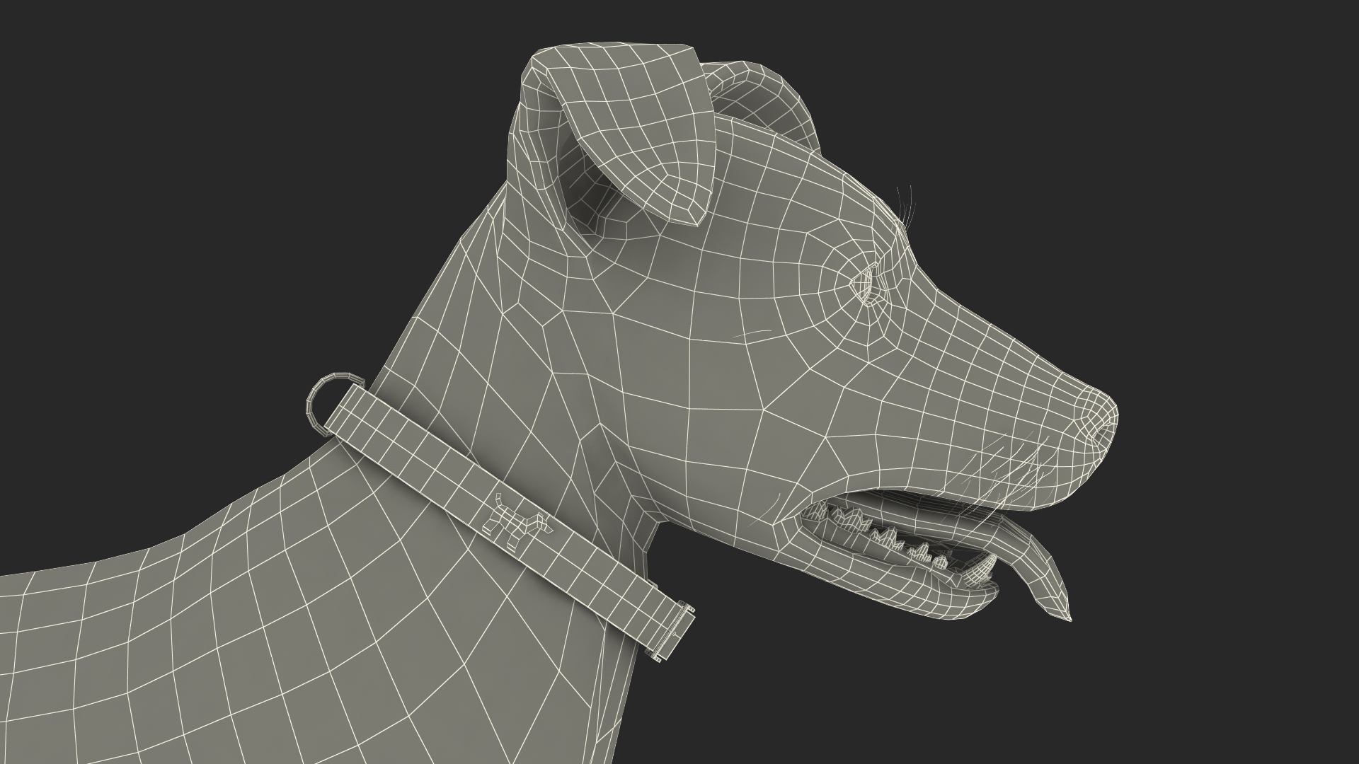 Jack Russell Terrier Spotted Attention Pose Fur 3D