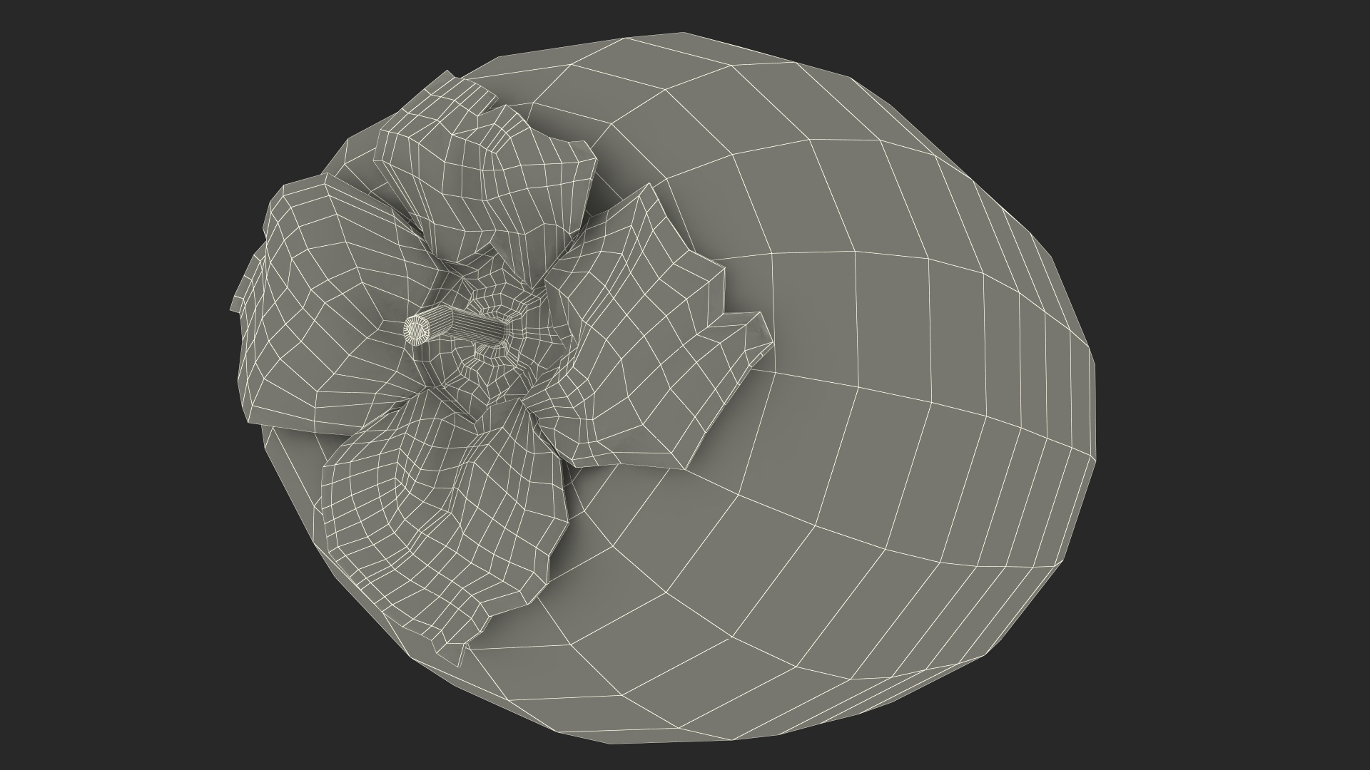 3D Hachiya Persimmon Fruit model