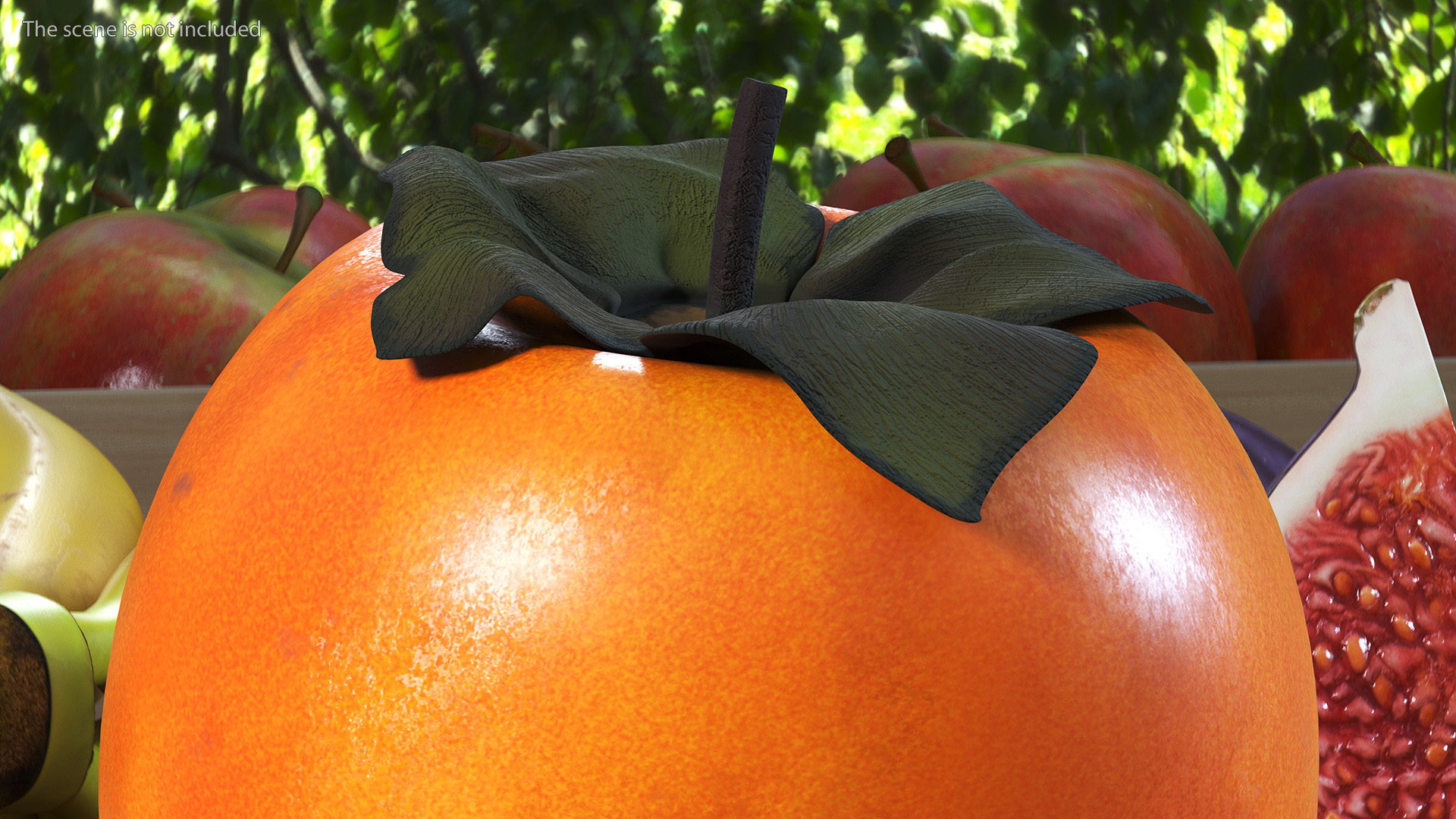 3D Hachiya Persimmon Fruit model