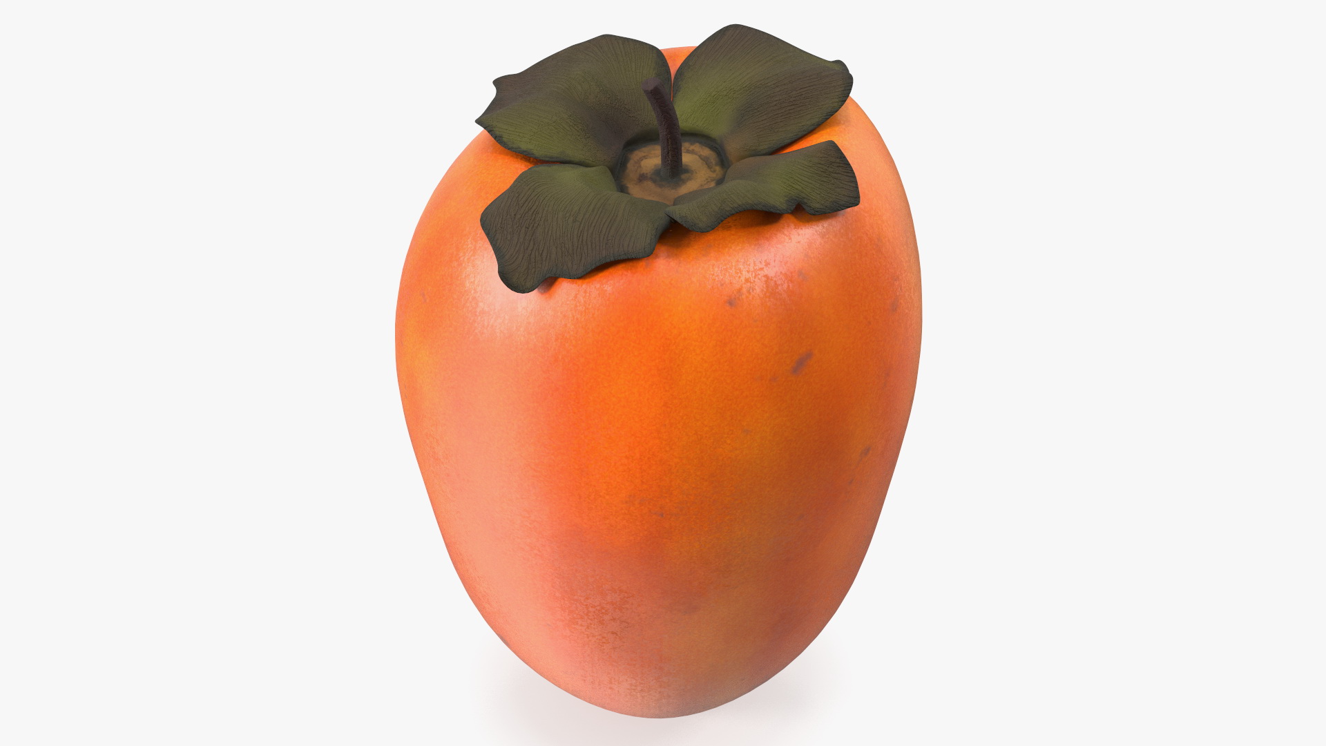 3D Hachiya Persimmon Fruit model