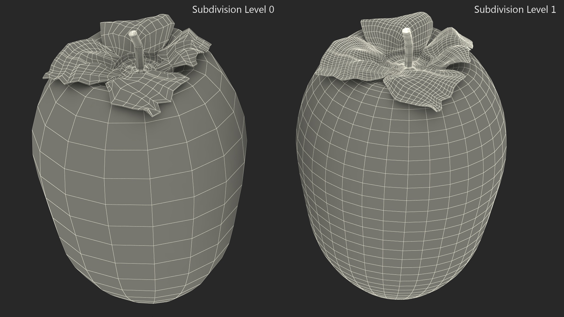 3D Hachiya Persimmon Fruit model