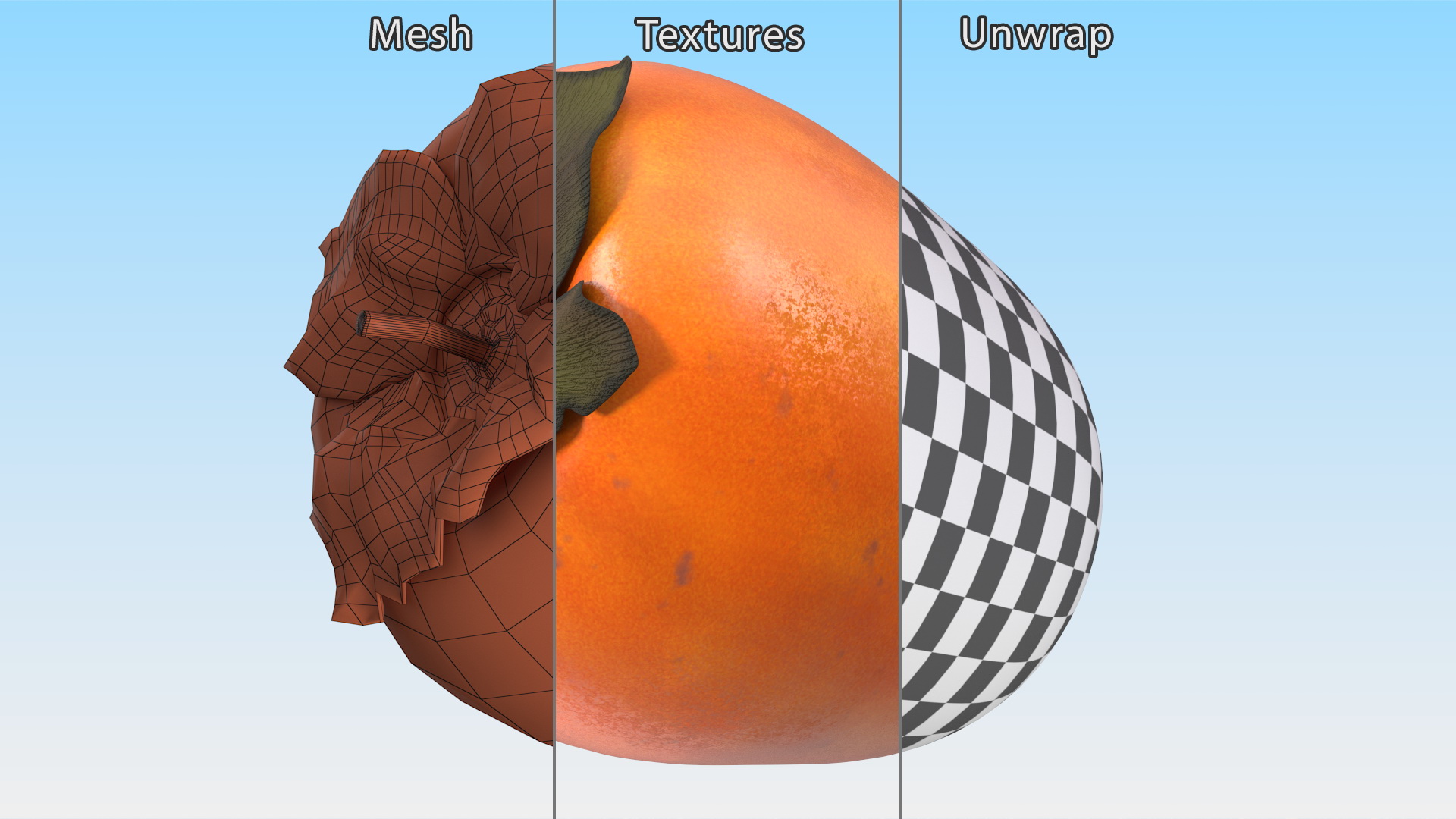 3D Hachiya Persimmon Fruit model