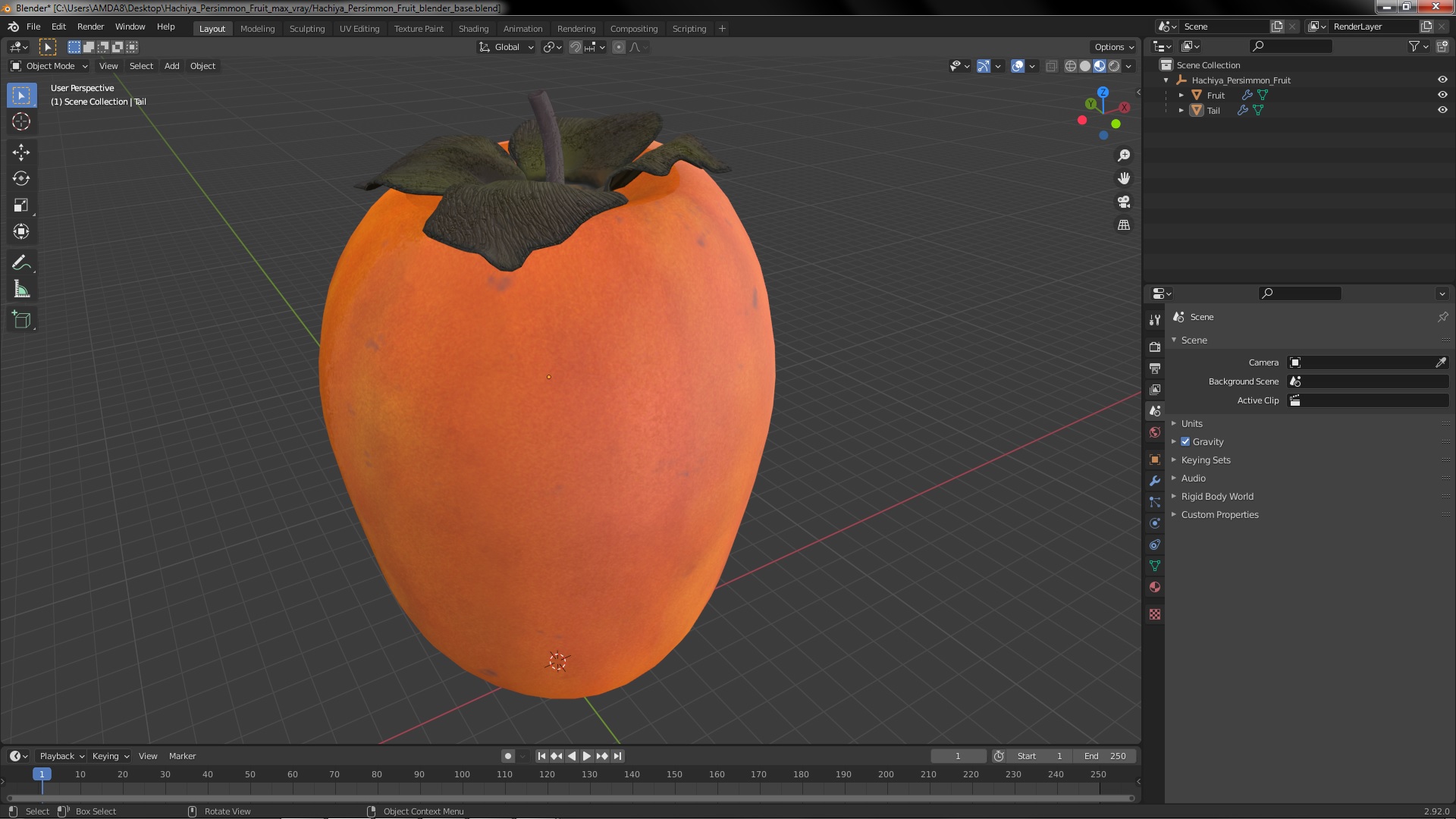 3D Hachiya Persimmon Fruit model
