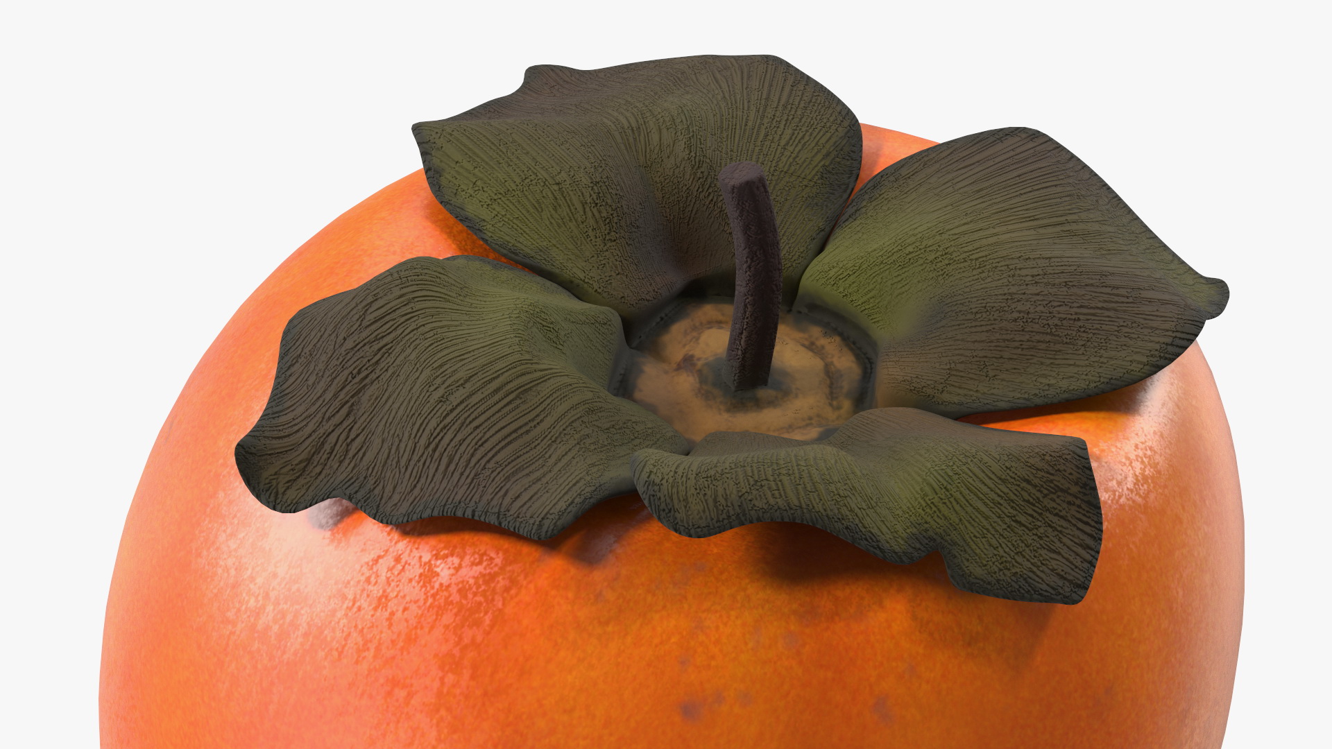 3D Hachiya Persimmon Fruit model