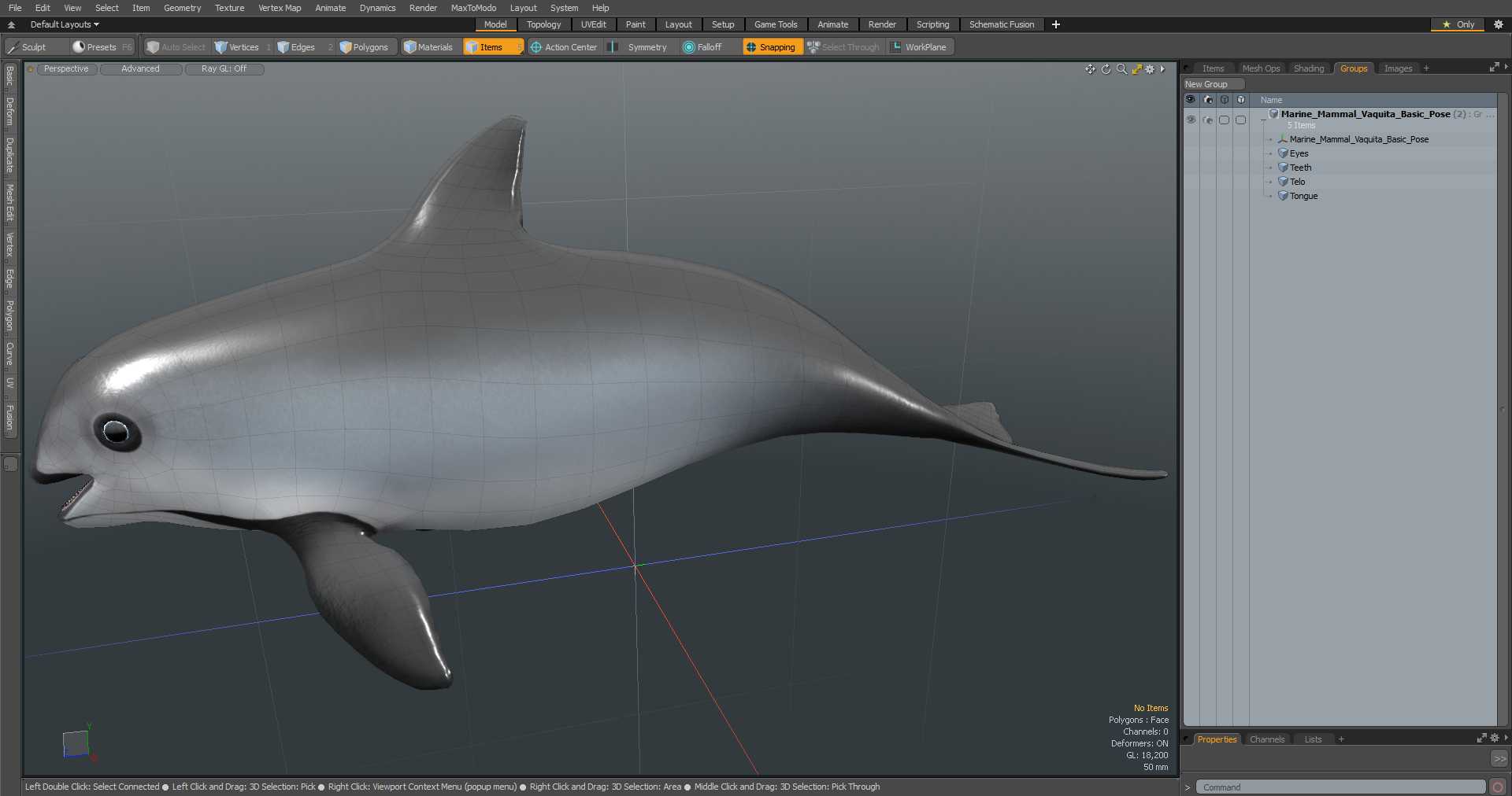 Marine Mammal Vaquita Basic Pose 3D