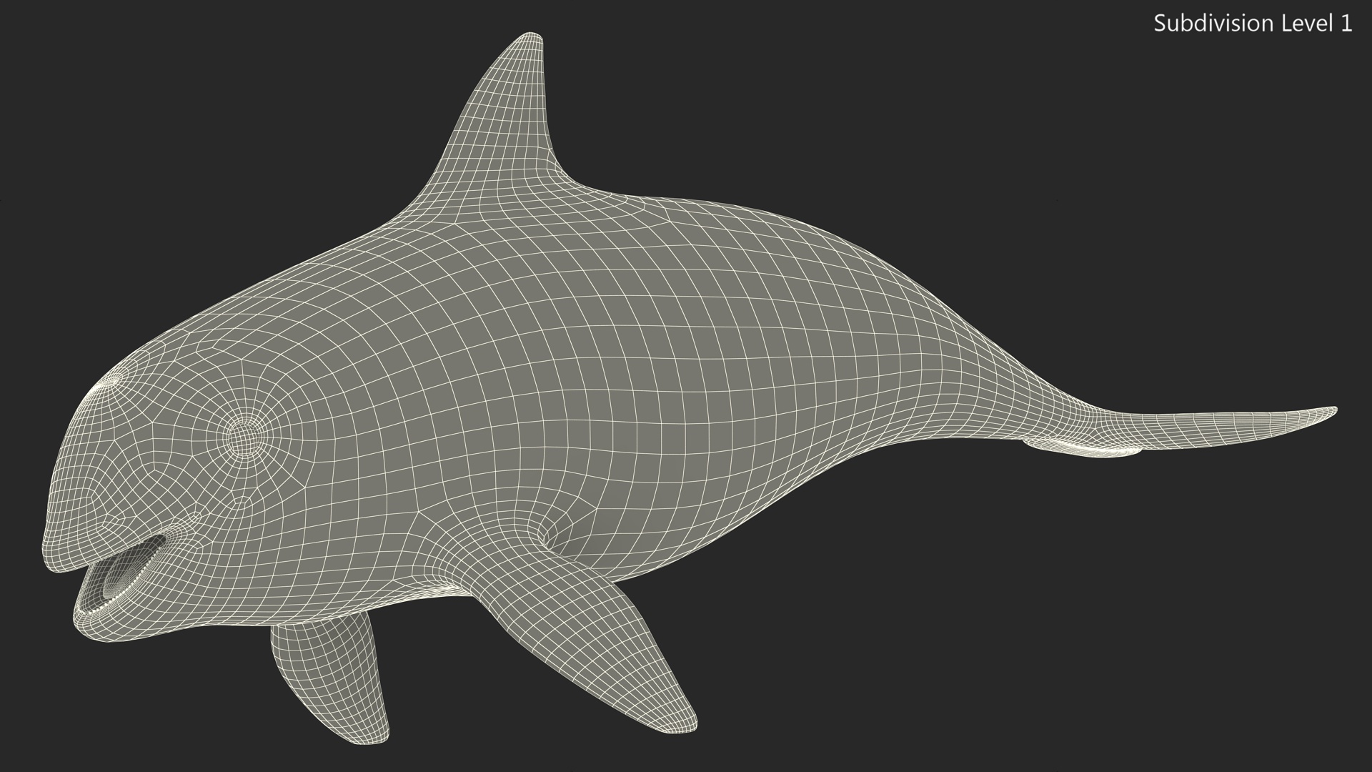 Marine Mammal Vaquita Basic Pose 3D