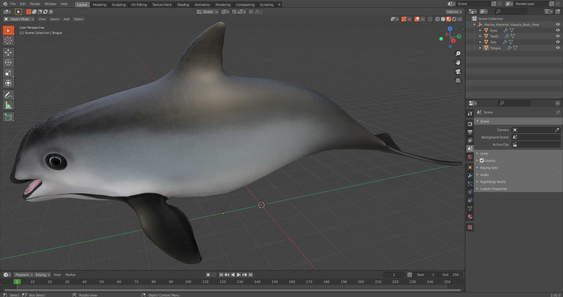 Marine Mammal Vaquita Basic Pose 3D
