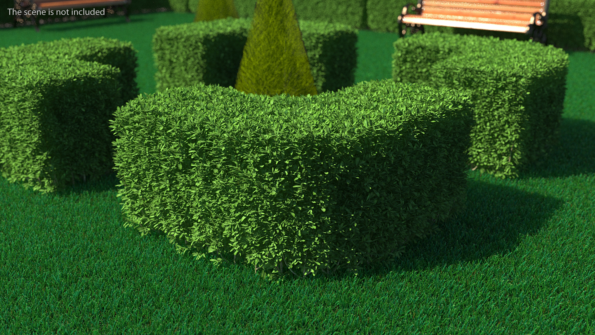 Boxwood Corner Bush 3D model
