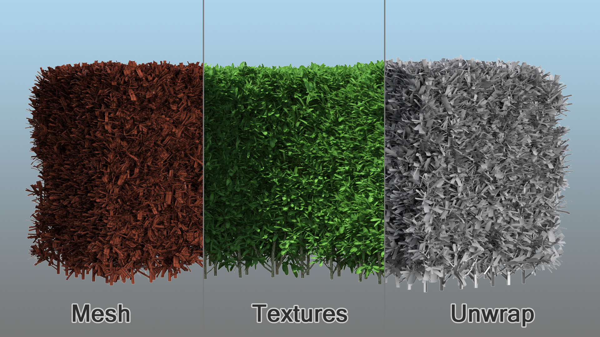 Boxwood Corner Bush 3D model