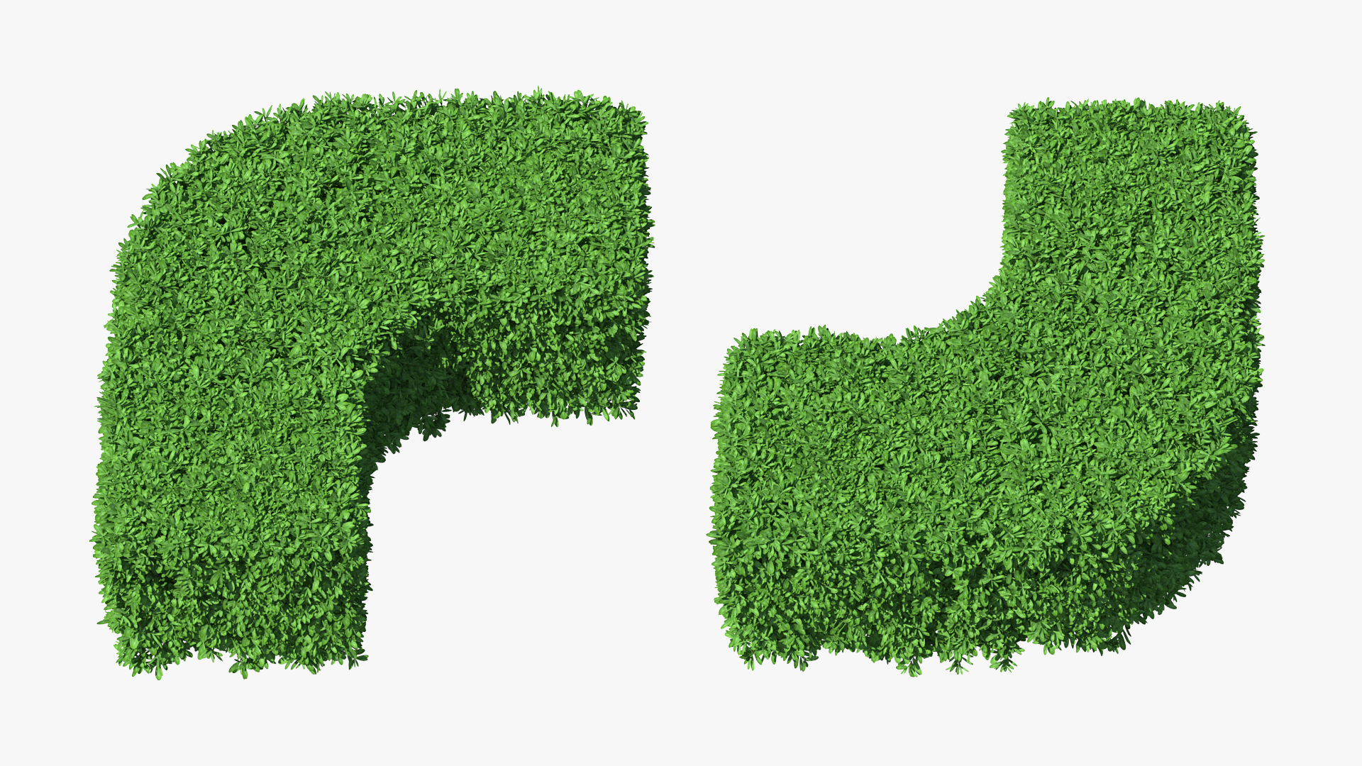 Boxwood Corner Bush 3D model