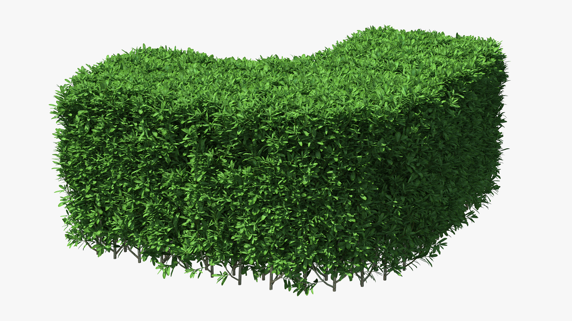 Boxwood Corner Bush 3D model