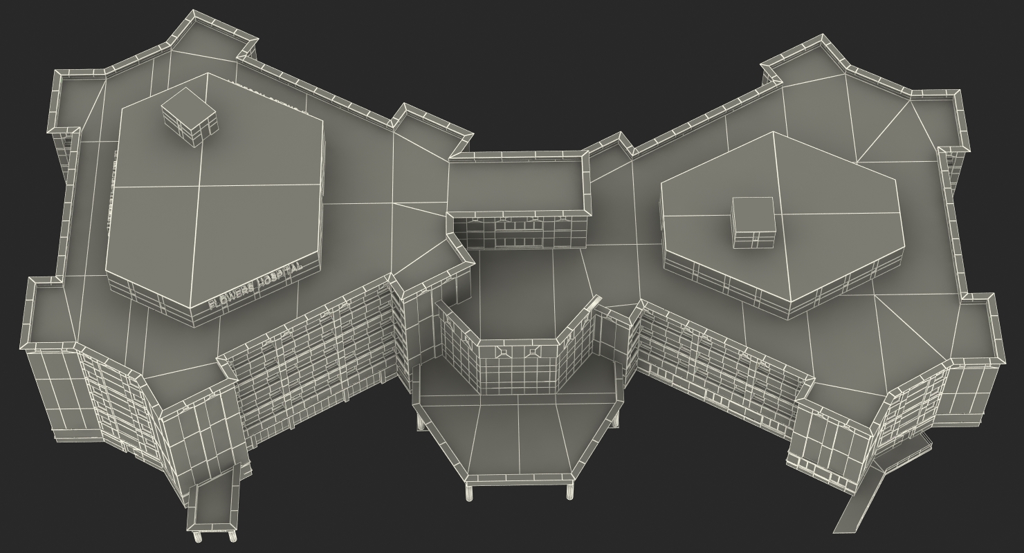 Hospital Building 3D