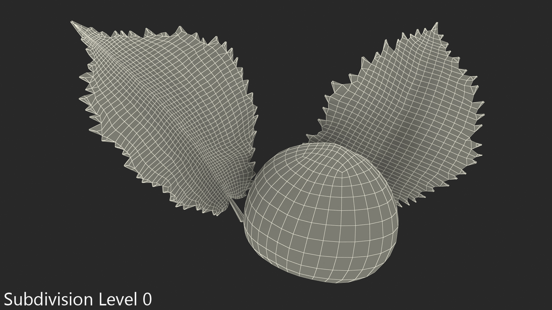 Hazelnut Leaves