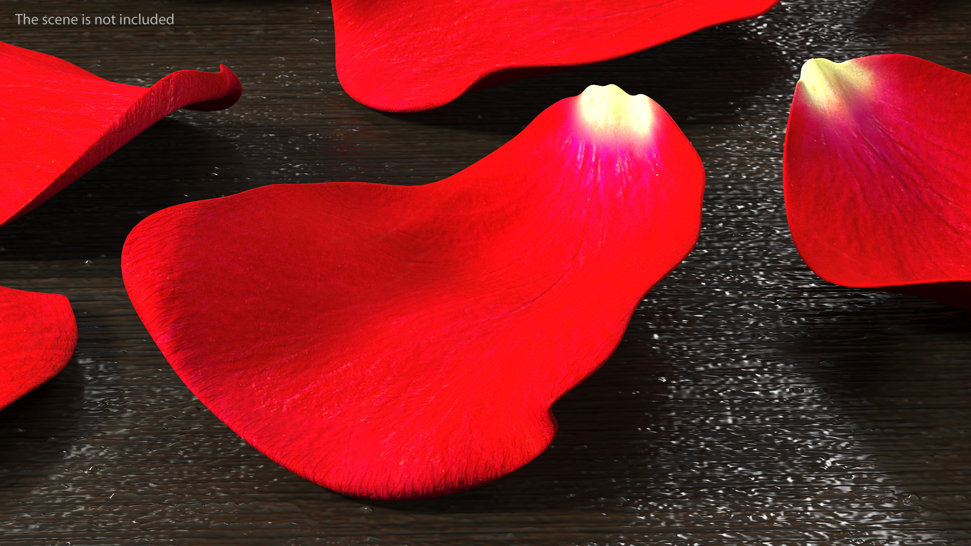3D model Rose Petals Red